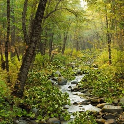 168极速赛车平台·官方网站